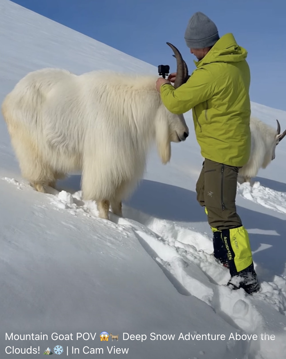AI image of a man attaching a GoPro to a Rocky Mountain Goat